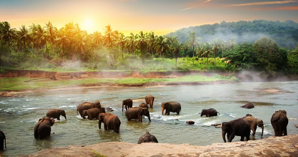 00.sri lanka cosa vedere fb